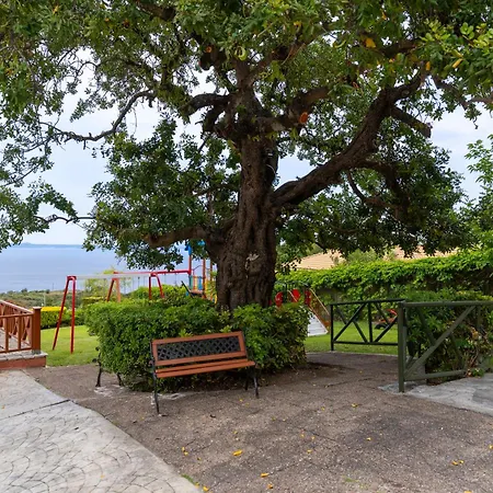 Sea View Village Aparthotel Vasilikos (Zakynthos)
